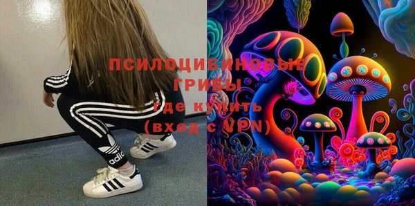 mdpv Верея