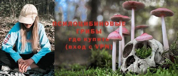 mdpv Верея